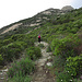 Aufstieg an der Südseite des Monte San Bartolomeo / Salita sui pendii sud del Monte San Bartolomeo