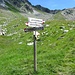 Oberbergalm (2144 m) 
