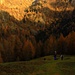 discesa in Val Varrone dall'Alpe Artino 