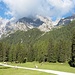 kurz vor der Schlicker Alm flacht es ab.....