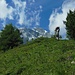 Über den teilweise überaus steilen "Wurzelweg" mit Holzskulpturen geht's hoch zur K2-Hütte