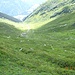 Das Val d'Acletta. 