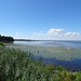 Blick ins Naturschutzgebiet vom Beobachtungsturm in der Hirschauer Bucht