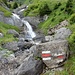 viel Wasser führend, malerisch über die Felsstufen herabstürzend - der Zufluss des Gornernbaches nahe Bürgli
