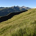 bereits haben wir die Alpstrasse verlassen und steigen über die Alpwiese hoch zum "Steinbruch"...