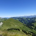Richtung Berner Alpen, markant am rechten Rand der Altels