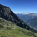 I prati sopra l'Alpe Groppo... 