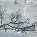 Wintermarkierungen zwischen Singi und Kaitumjaure. Im Schneesturm eine wichtige Orientierungshilfe!