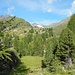 Blick vom Weg Nr. 31/37 zur gegenüberliegenden Zufallhütte