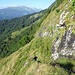 gesicherte Passage oberhalb Sprungstein