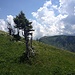 Alpweide beim col de la Folière
