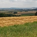 Landschaft im Nördlinger Ries, II
