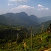 Im Hochland von Sri Lanka,die Berge sind ca.1800m hoch