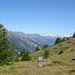 Sui pascoli sotto Tsaplana appare il Monte Bianco