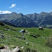 Alpe Dosso Cavallo, baite di cima