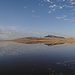Die Antelope Island spiegelt sich im Great Salt Lake
