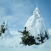 Schnee und Wind sorgen für weihnächtliche Tannenbäume