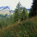 Il gruppo di montagne intorno al Pass del Ramulazz dai megaforbieti intorno al Cascinot. 