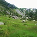 La valletta che scende dal Sentiero Alpino all'Alpe Largè.