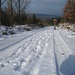 Abstieg über verschneite Forstwege in der N-Flanke des Katzenbuckel