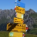 Cavelljoch: weiter geht's via Golrosa zur Gamsluggen.