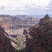 Blick vom Widforss Trail in den Grand Canyon