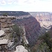 Blick vom Widforss Trail in den Grand Canyon