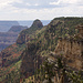 Ausblick vom Widforss Trail in den Grand Canyon