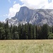 Half Dome vom Yosemite Valley aus gesehen