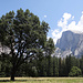 Half Dome vom Yosemite Valley aus gesehen