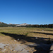Tuolumne Meadows