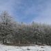 der Rauhreif an den Bäumen hebt sich schön vor dem leicht blauen Himmel ab