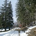 hier noch gemütliches Wandern zwischen Hinderegg und Rüttelhorn