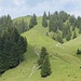 Über Wiesen zum Spieser