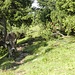 Wächter des Weges