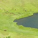 Rindviecher am Hörnlesee