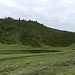 Am Hörnlesee