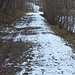 Neve sul sentiero, cemento nelle gambe :-(