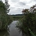 Naturschutzgebiet mit kleinem Teich