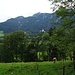 Durchblick zur Kampenwand über Hohenaschau