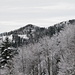 verschneites Zürcher Oberland