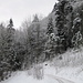 Winterwanderung in traumhaft verschneitem Wald, hier auf dem Weg kurz nach Bärloch