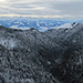 Winterwald mit Alpenpanorama