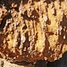 Im Detail zeigt sich der verschiedenartige Aufbau des Gesteins - stark verwitternde Bestandteile halten den beständigen Quarz zusammen.