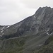 La parete W della Grande Dente de Veisivi, da cui è evidente, più chiara, la zona da cui, a fine estate 2015, si staccarono 80,000 m3 di roccia
