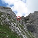 Gemäss dem Clubführer Säntis - Churfirsten (1. Auflage 1999) verlässt man den Hundsteinweg auf ca. 2000 m und steigt zur Scharte (rot eingekreist) östlich vom Widderalpstöck-Hauptgipfel auf. Anschliessend klettert man auf der Nordseite ein paar Meter ab und erreicht über ein ziemlich breites Band leicht den Gipfel.