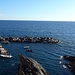 Hafenbecken Manarola