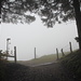 Verzweitung Rütersplangg. ich nehme den linken, flachen Weg. man könnte auch über den mittlerwen Weg zum Ronenboden nehmen. der rechte Weg führt durch den Wald hinauf nach Rigi Staffel.