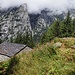 ERSAF Alpe Romilla