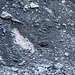 Rock Glacier
